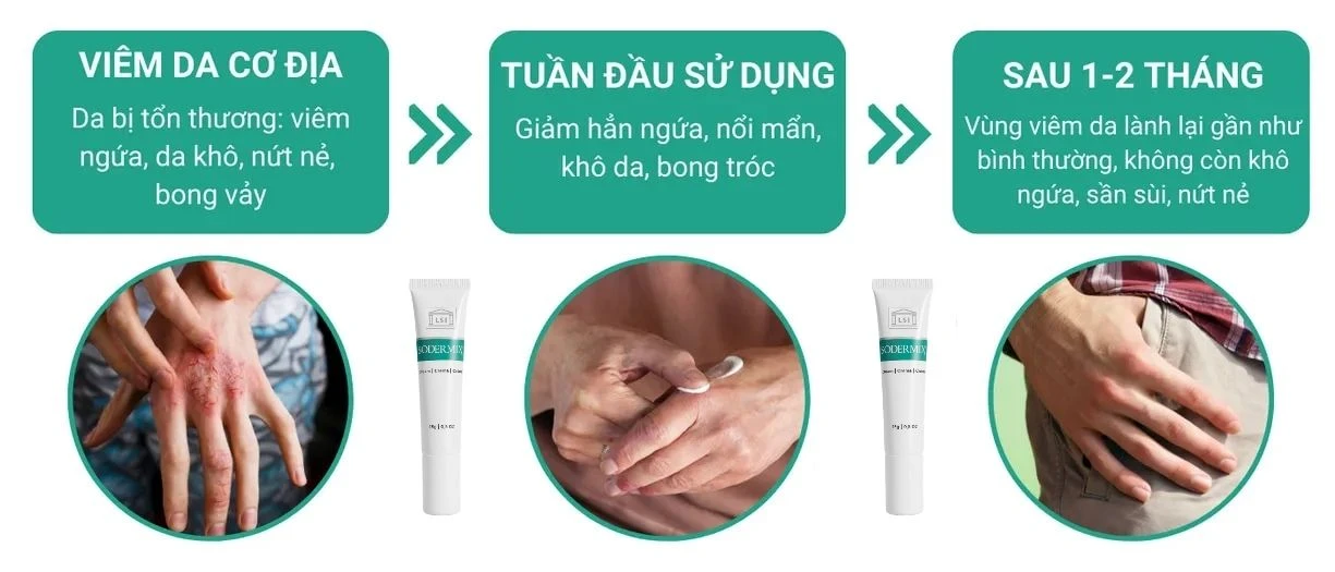 qua trinh sd.webp
